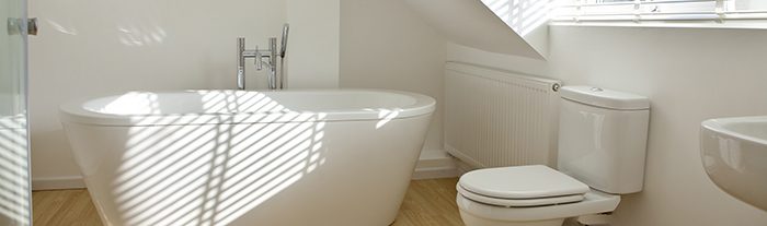 Same Day Toilet Plumbing Across Denver and Boulder